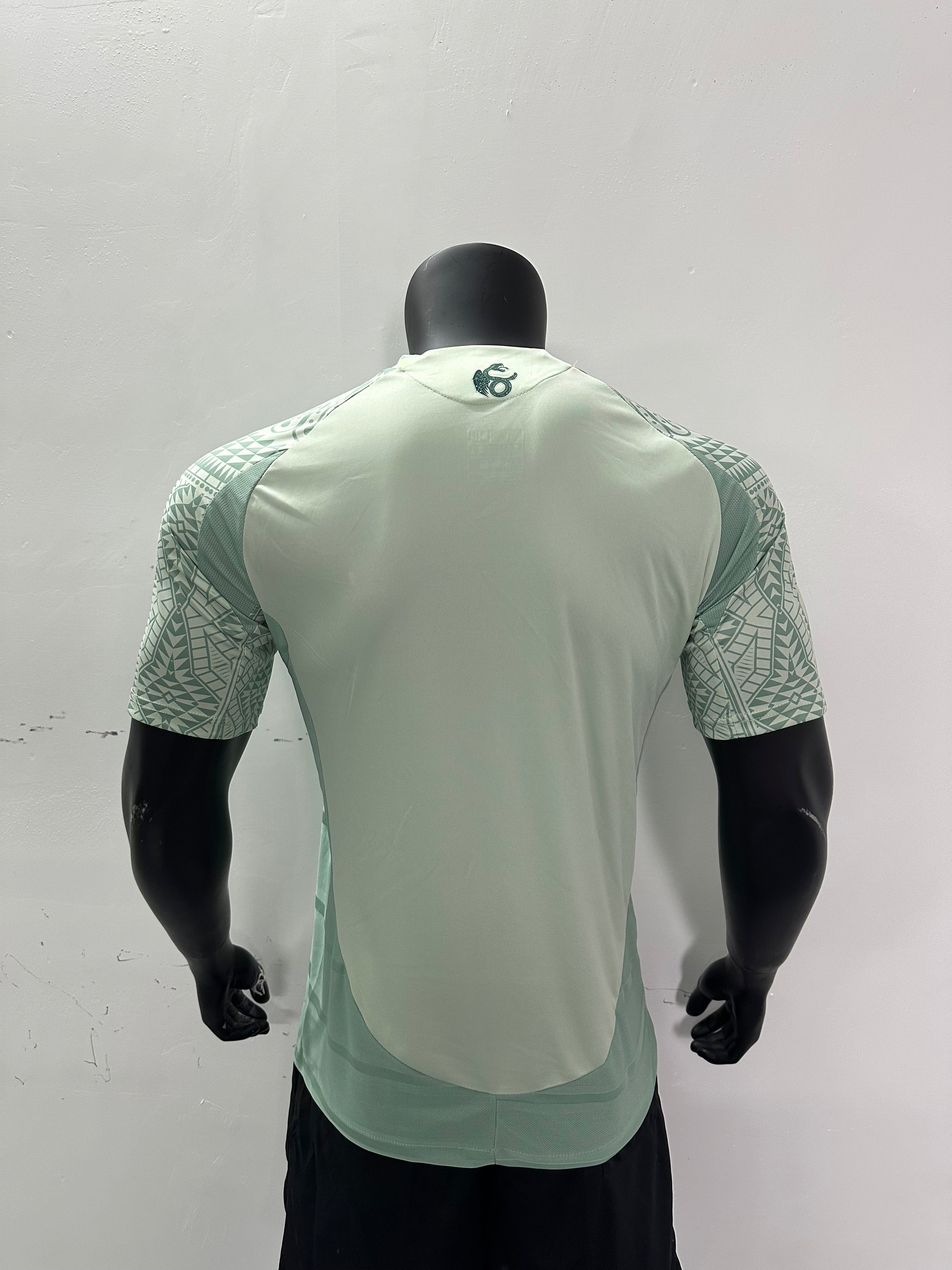 Camiseta Mexico, Visitantes 24-25