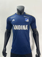 Camiseta Millonarios, Local 24-25