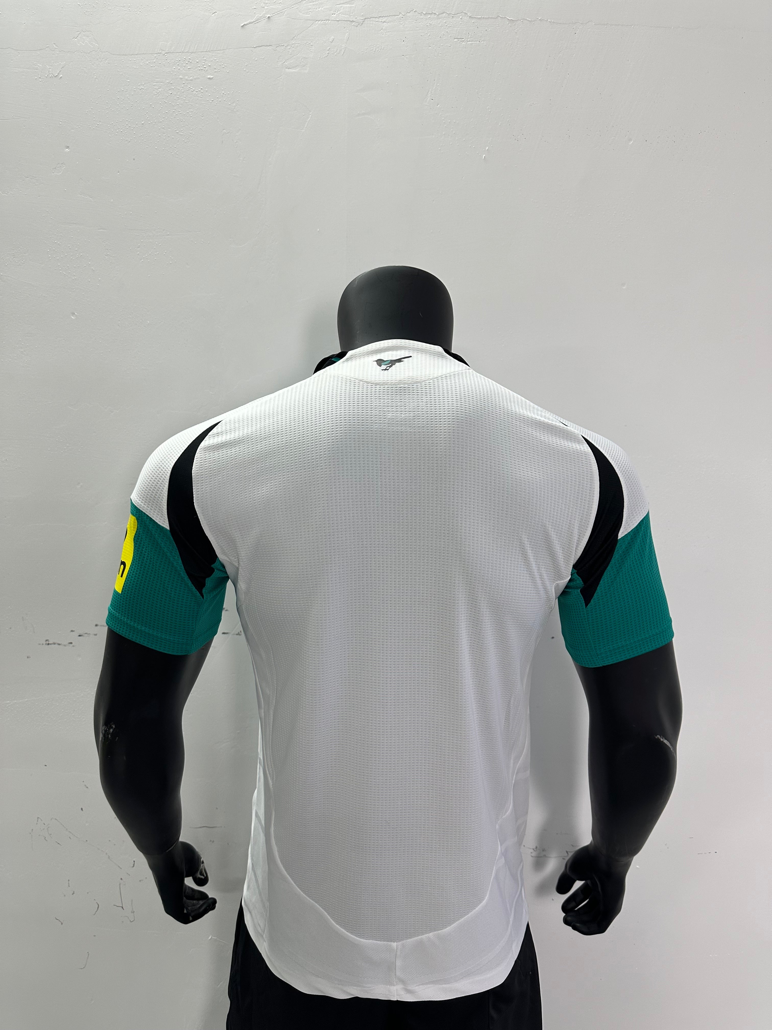 Camiseta Newcastle United, Tercera 24-25