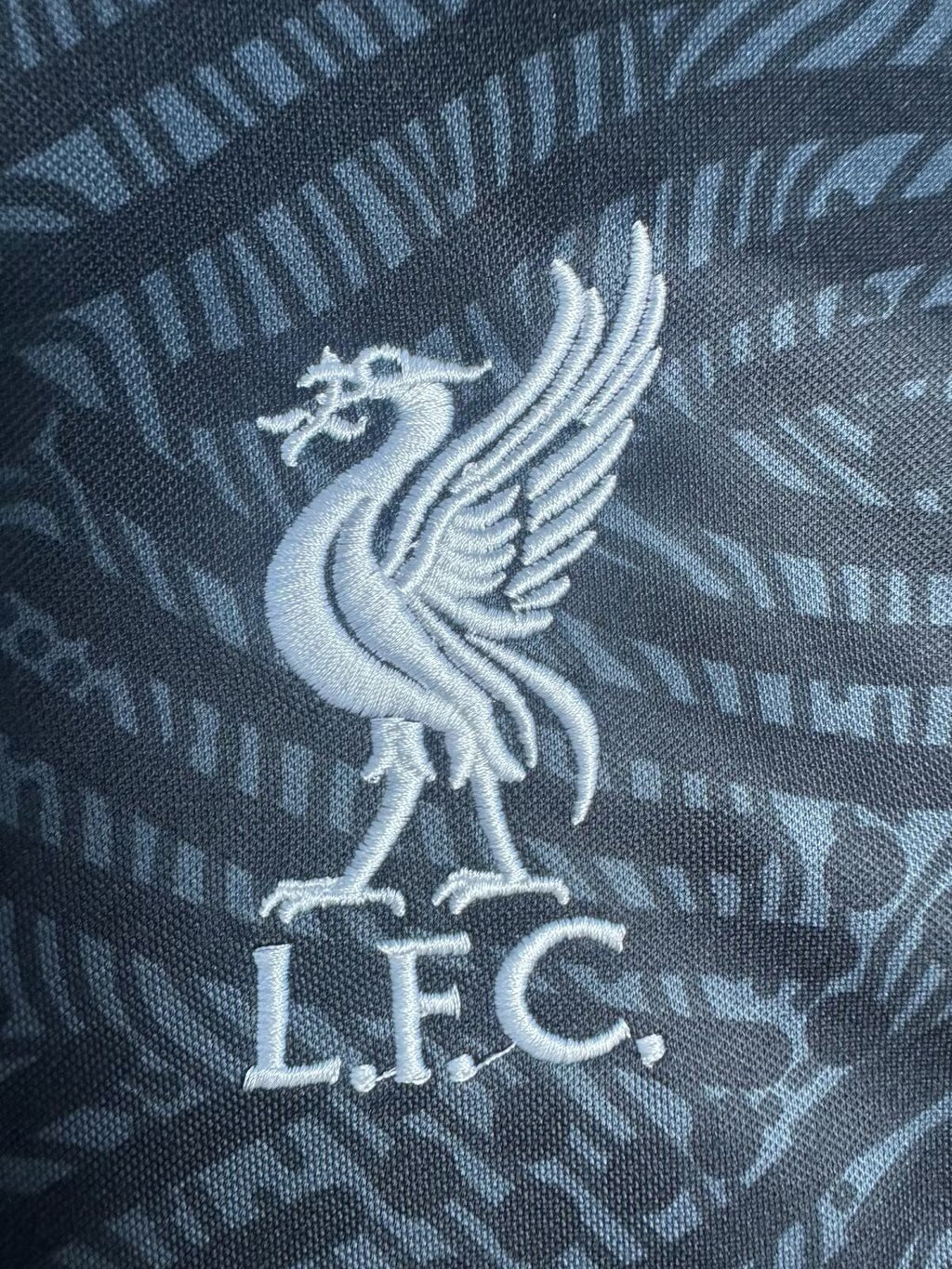 Camiseta Alternativa Liverpool, 20-21