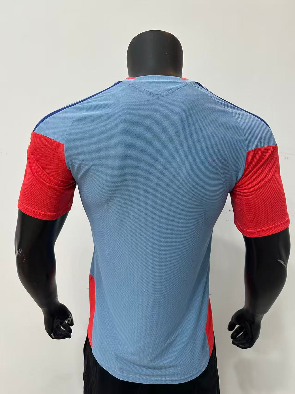 Camiseta Japon, entrenamiento 2026