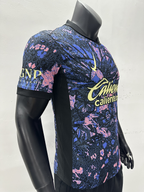 Camiseta Club América, Tercera 24-25