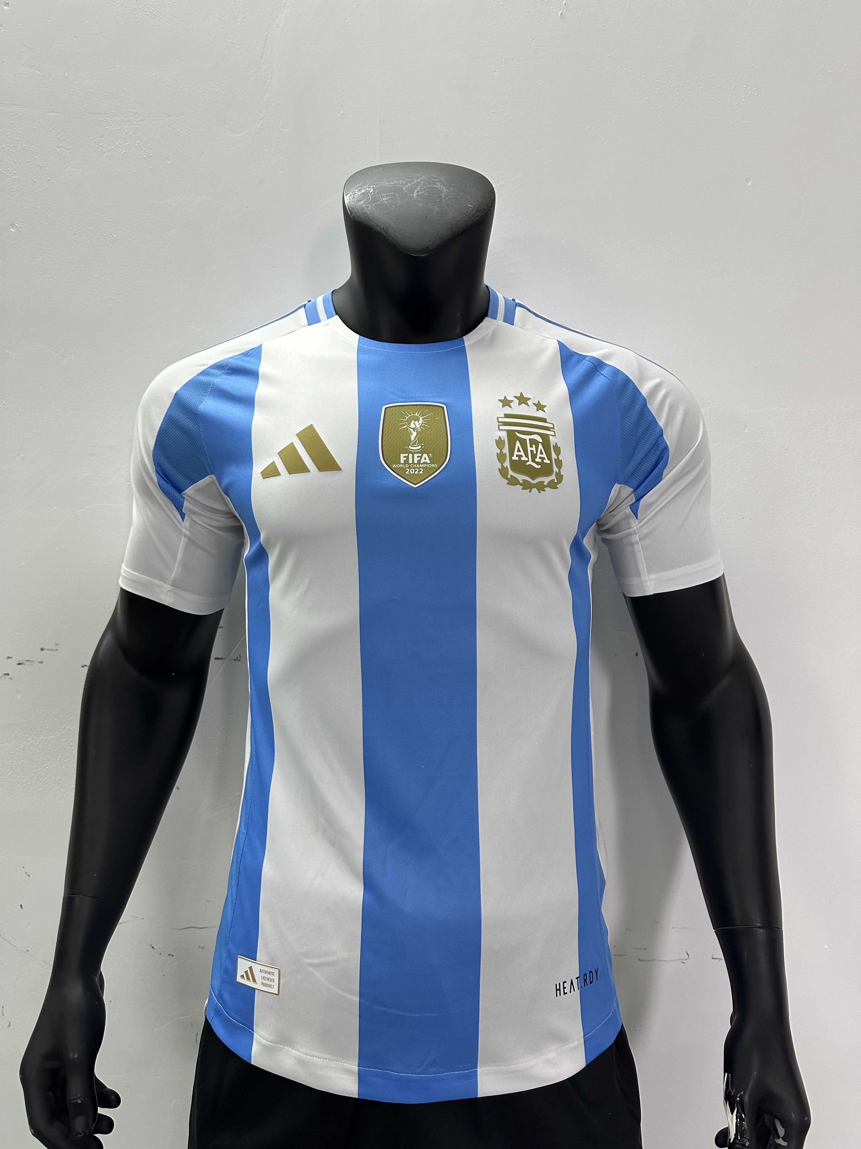 Camiseta Argentina, Local 24-25