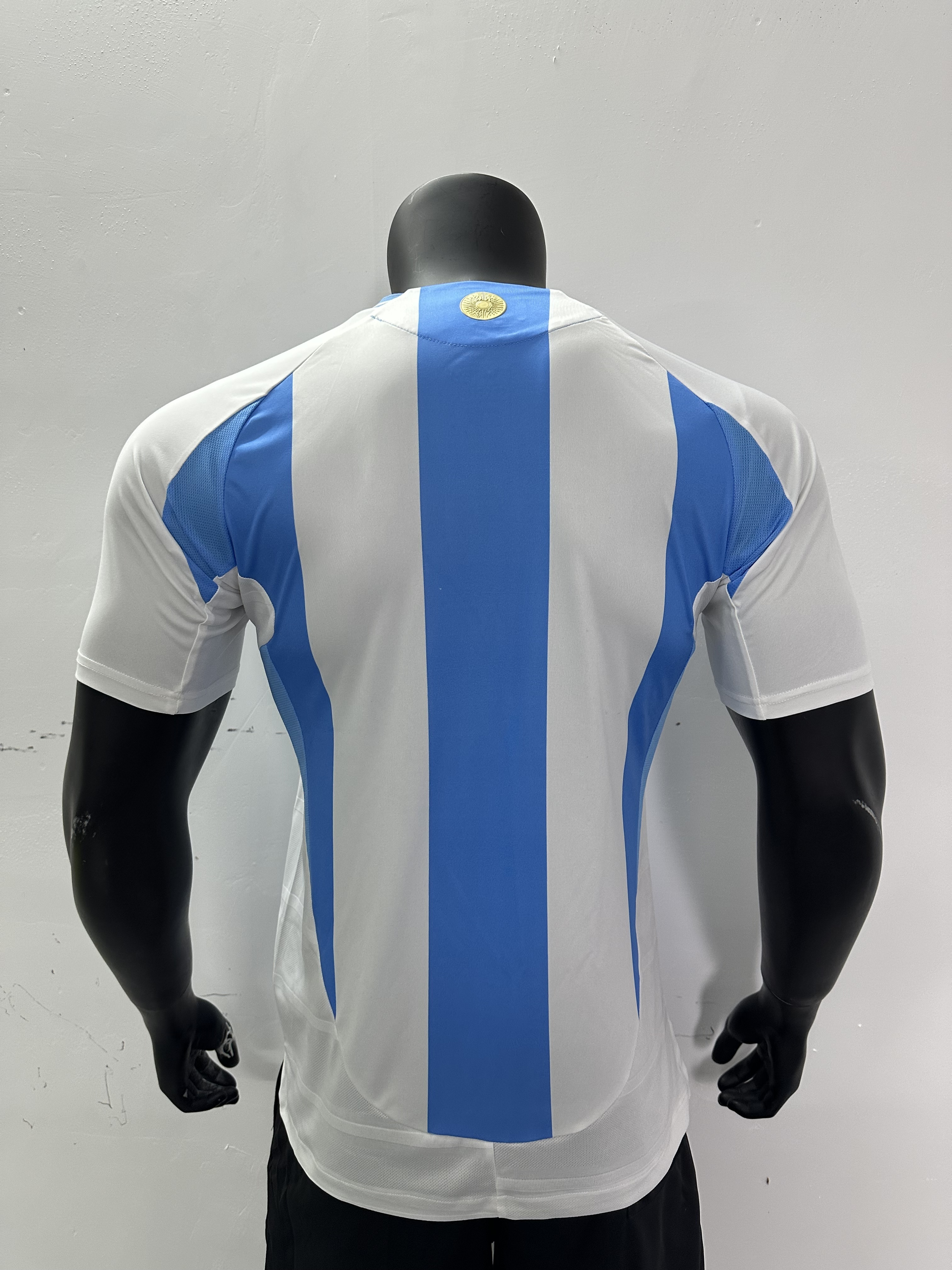 Camiseta Argentina, Local 24-25