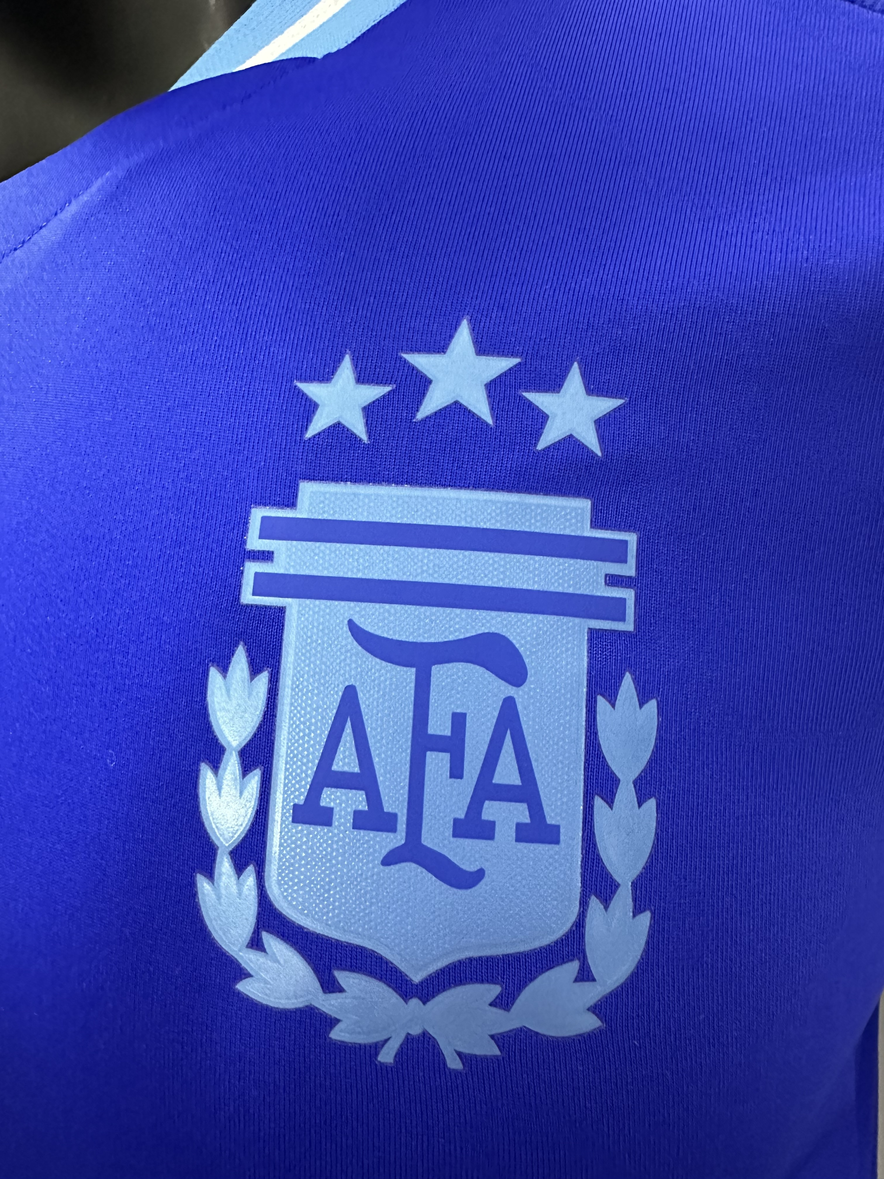 Camiseta Argentina, Visitante 24-25