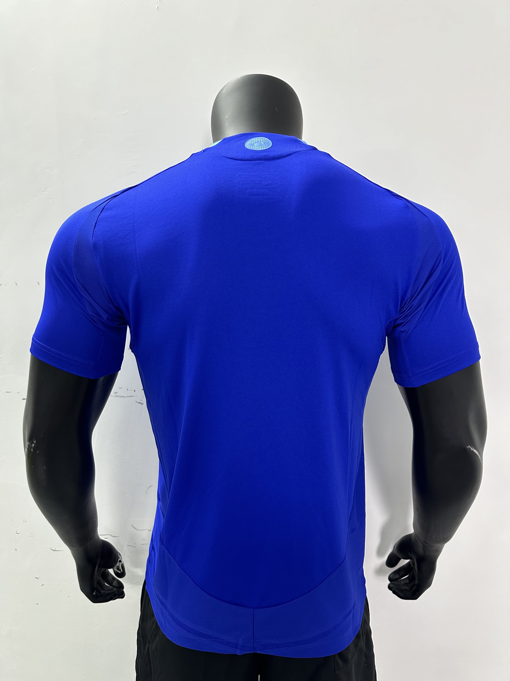 Camiseta Argentina, Visitante 24-25