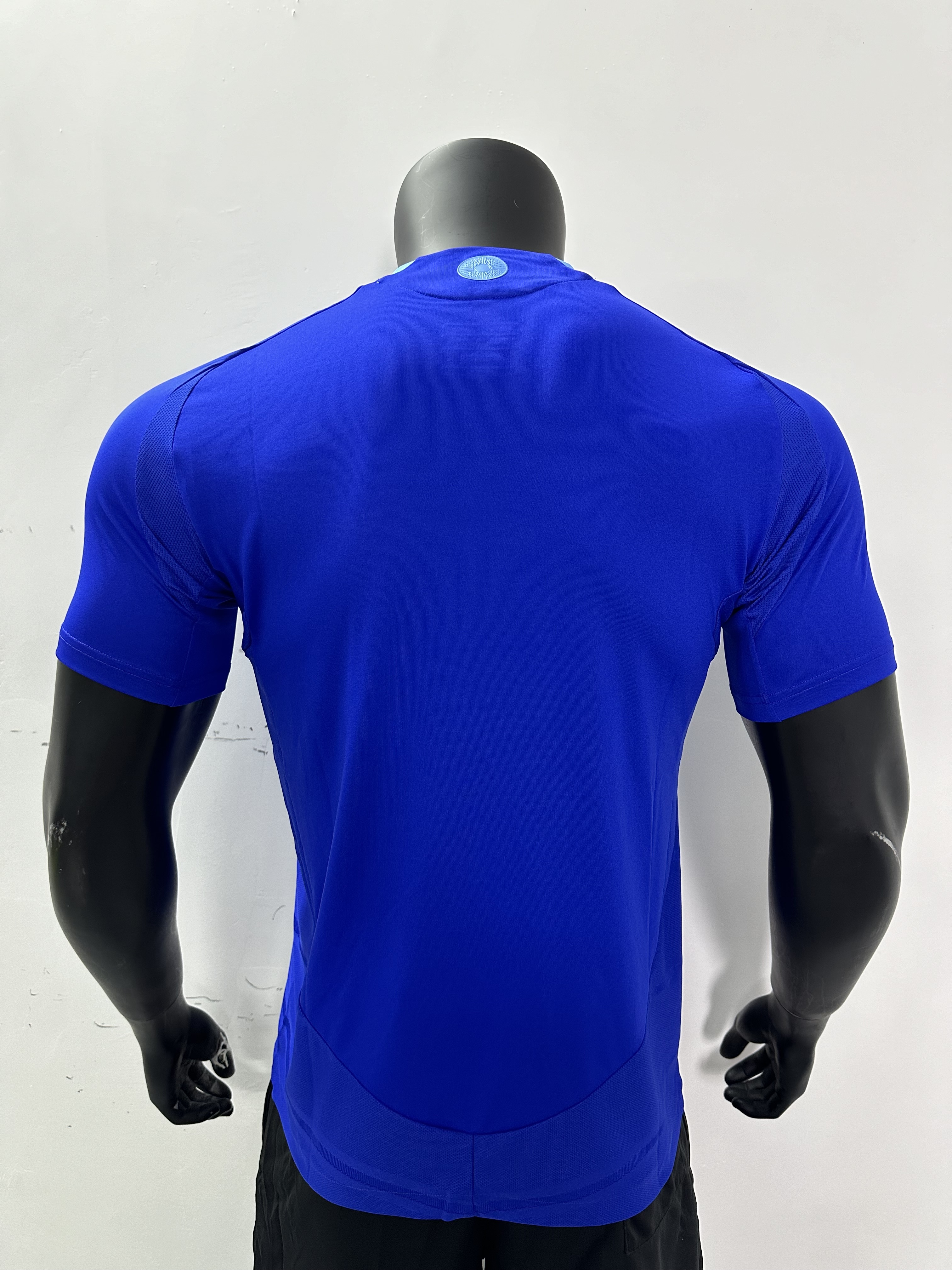 Camiseta Argentina, Visitante 24-25
