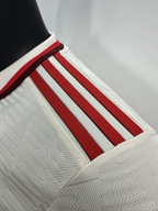 Camiseta Bayern Múnich, Tercera 24-25