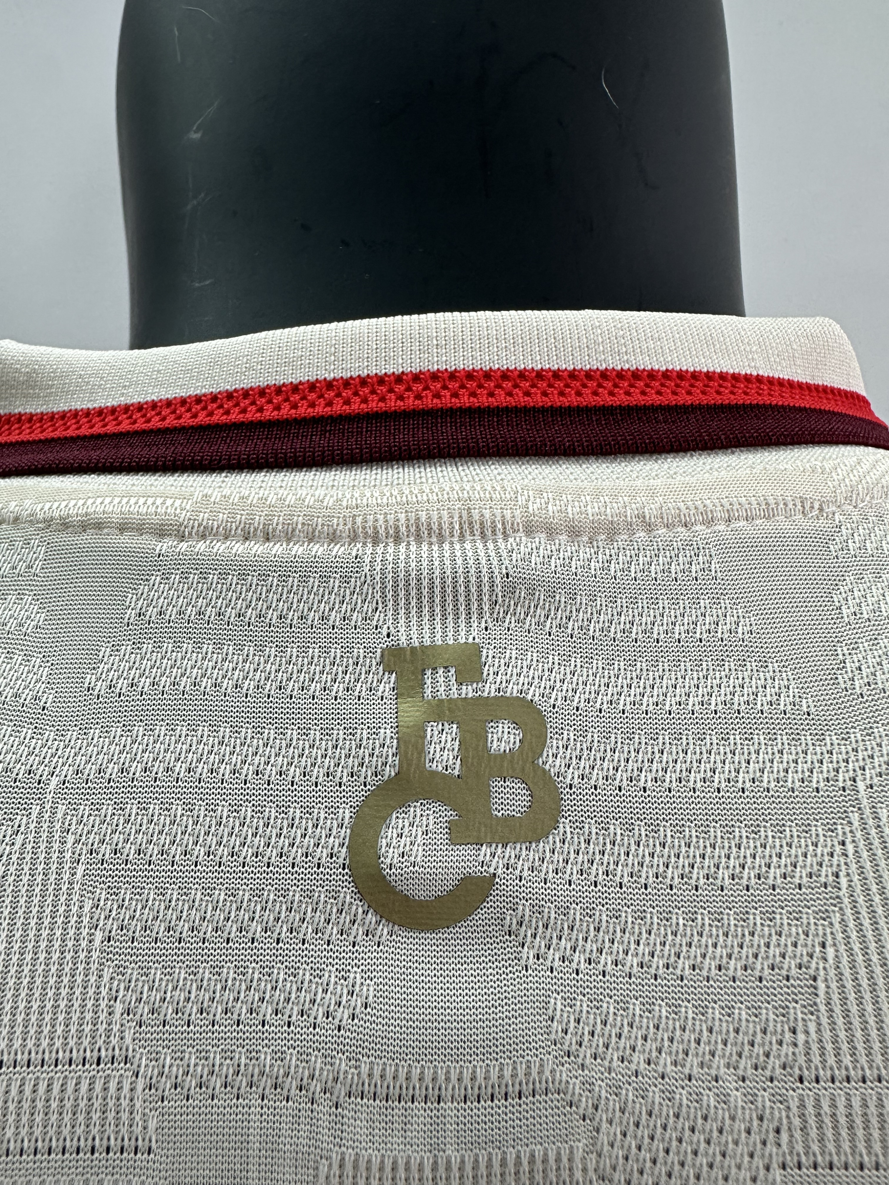 Camiseta Bayern Múnich, Tercera 24-25