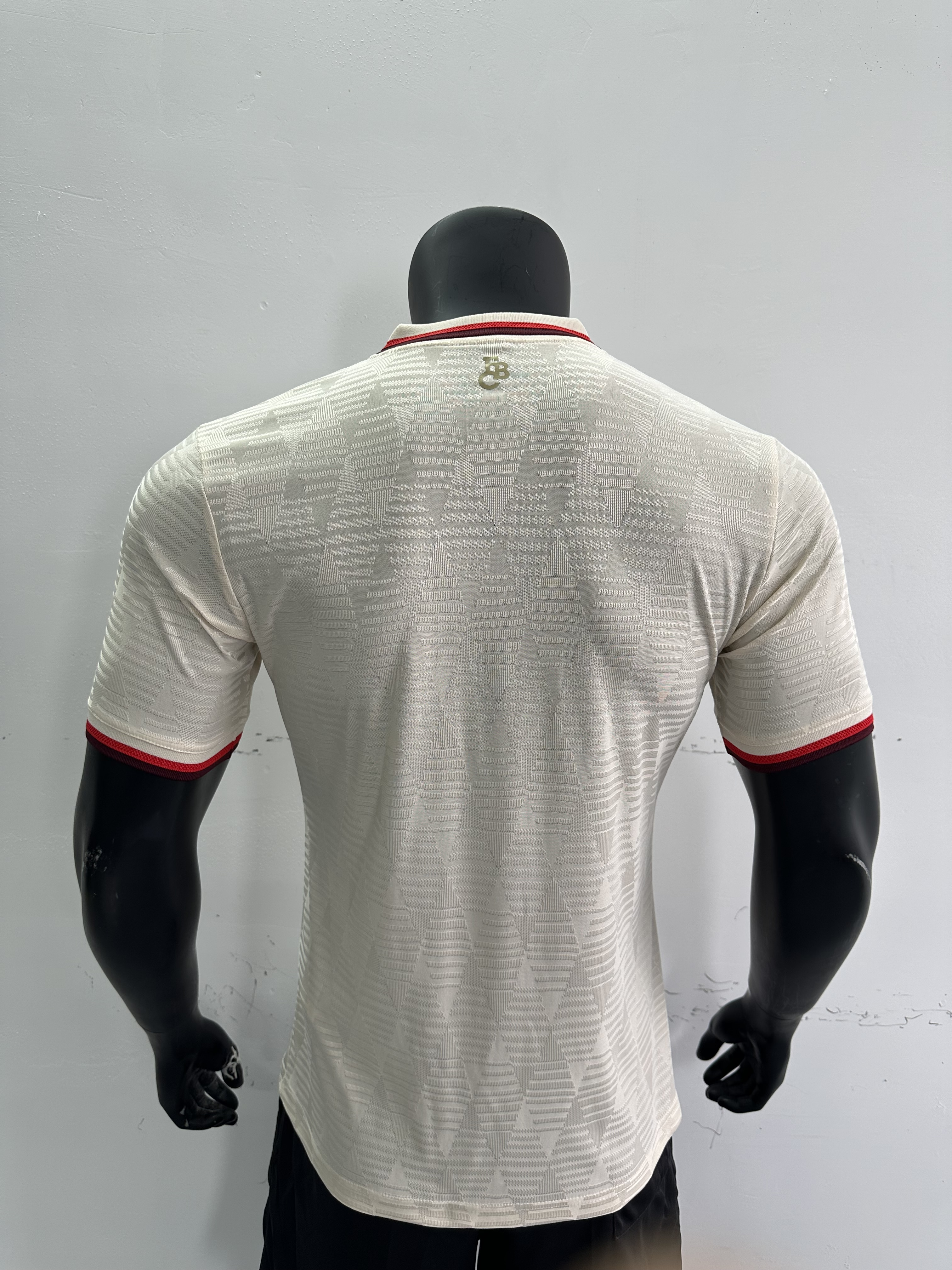 Camiseta Bayern Múnich, Tercera 24-25