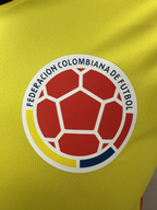 Camiseta Colombia, Local 24-25