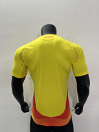 Camiseta Colombia, Local 24-25