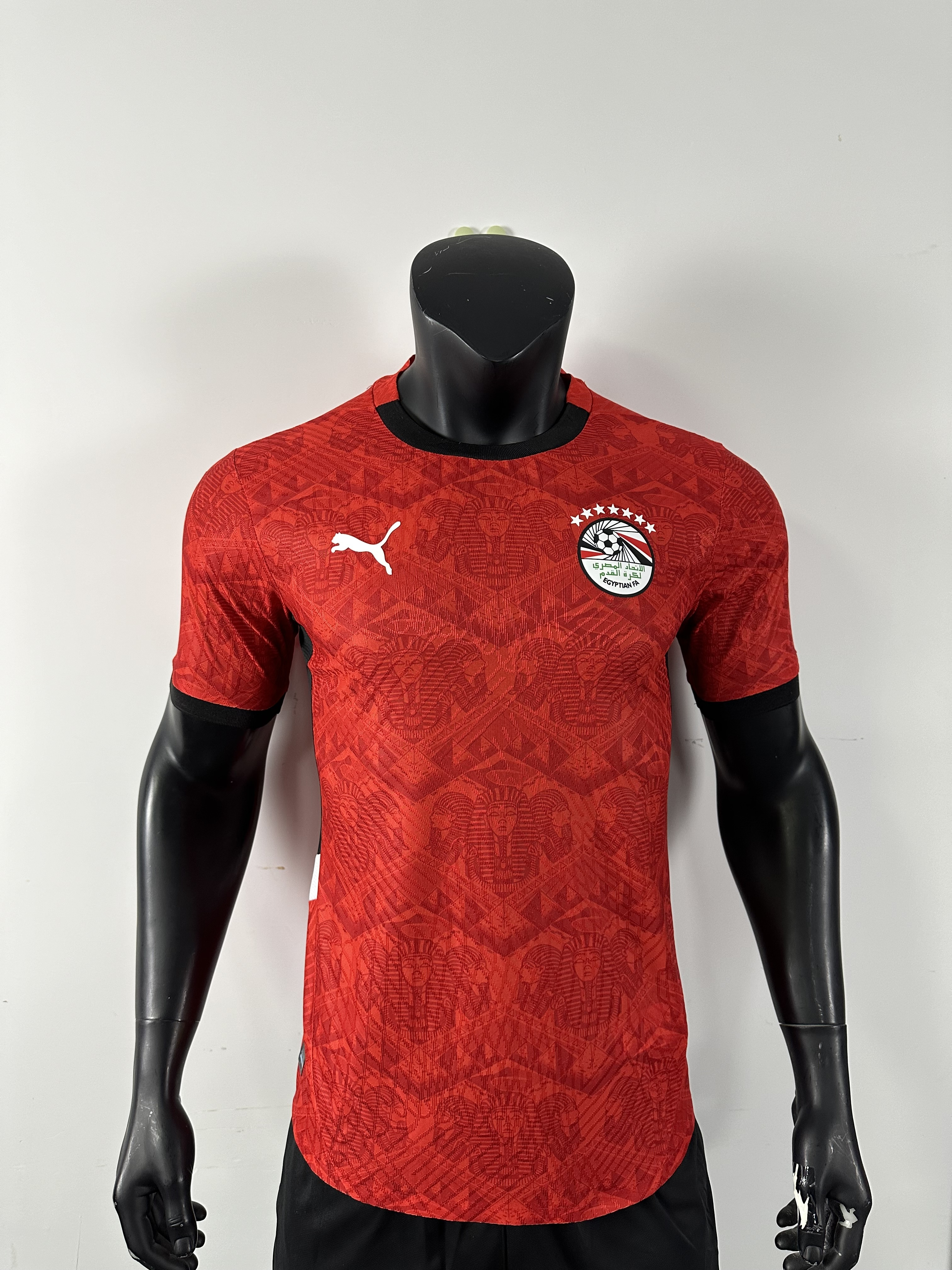 Camiseta Egipto, Local 24-25