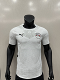 Camiseta Egipto, Visitante 24-25