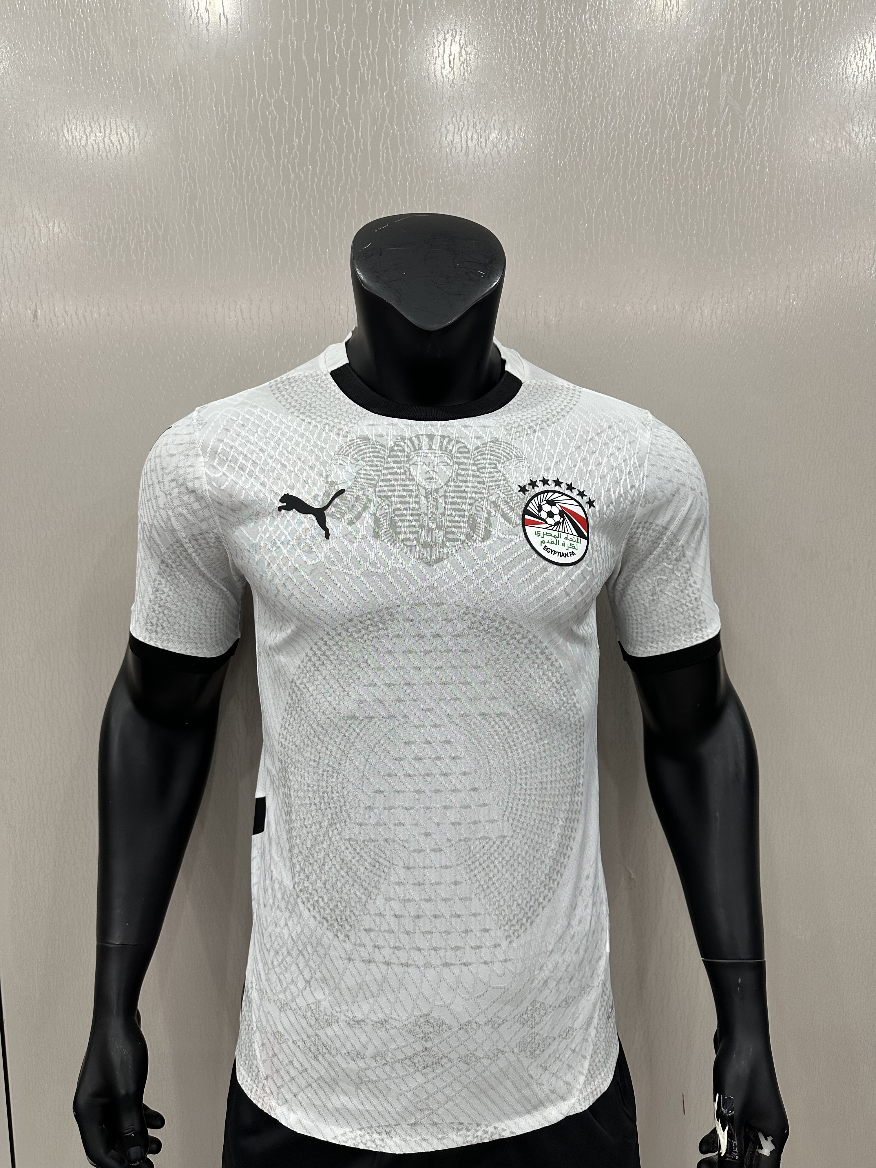 Camiseta Egipto, Visitante 24-25