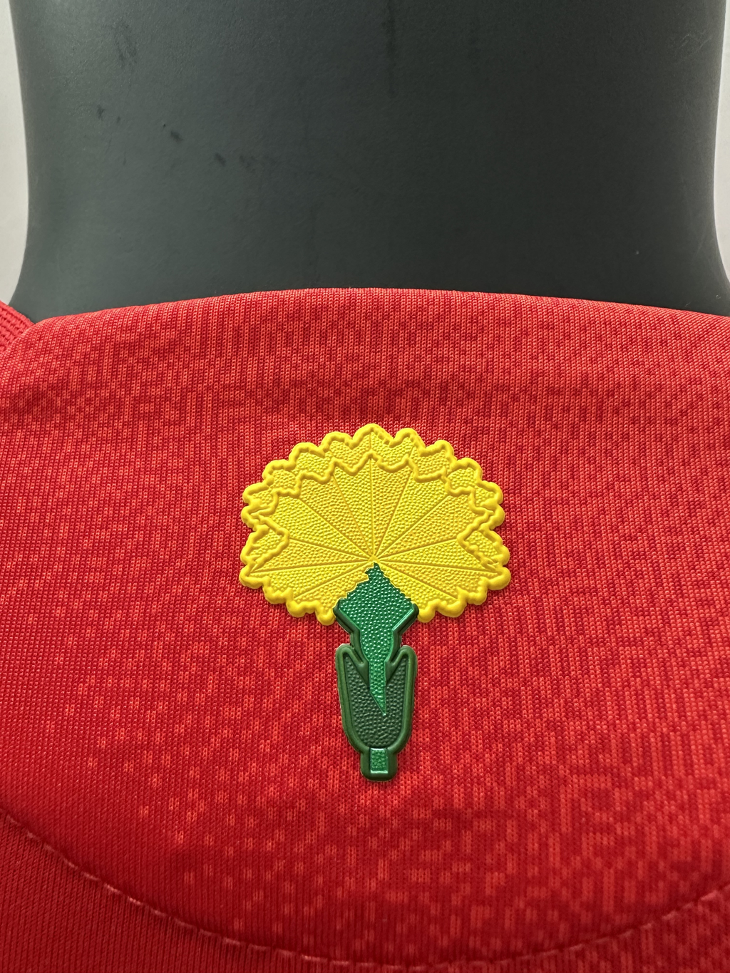 Camiseta España, Local 24-25