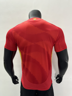 Camiseta España, Local 24-25