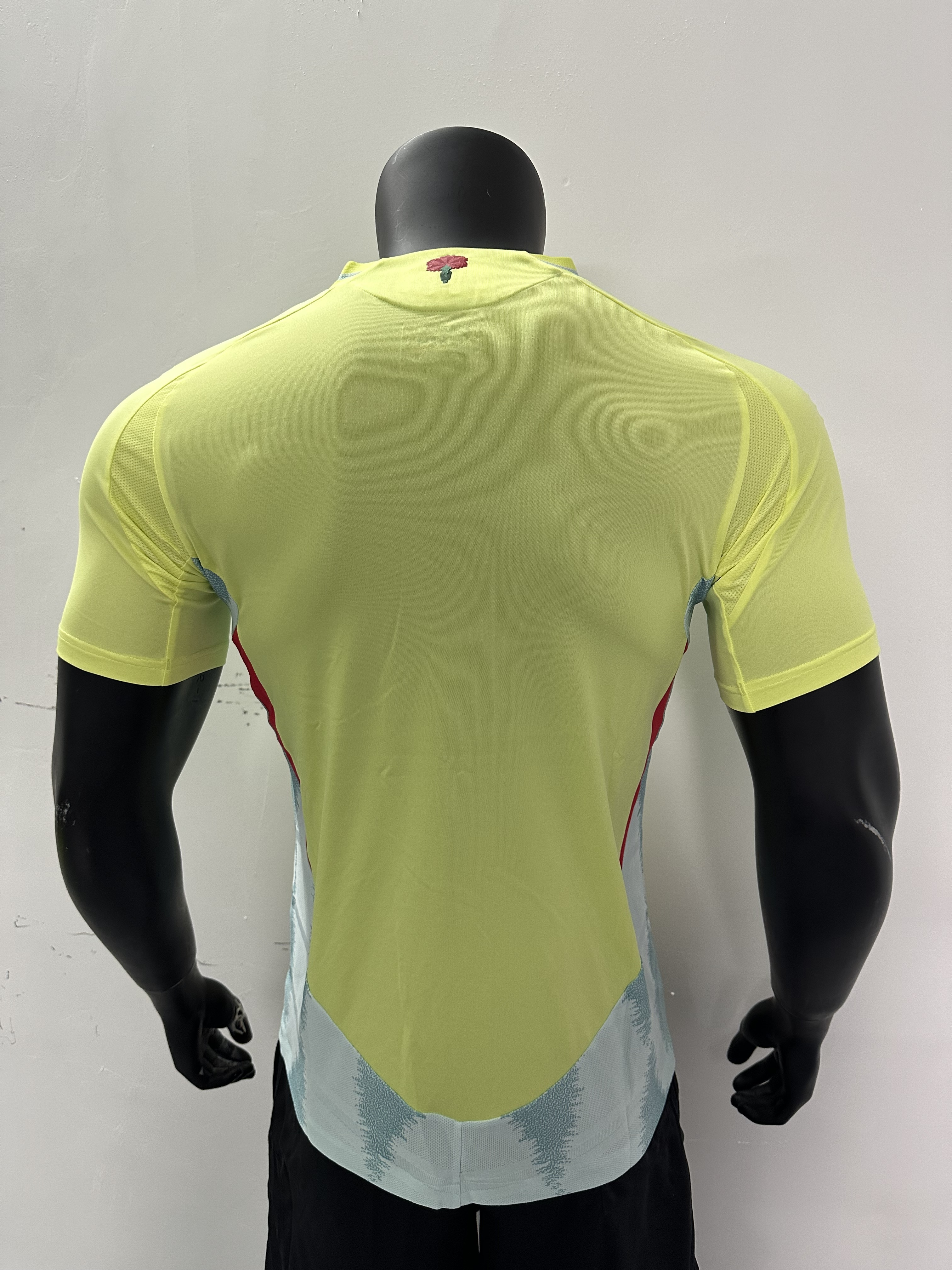 Camiseta España, Visitante 24-25