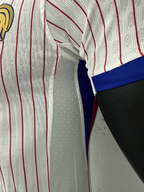 Camiseta Francia, Visitante 24-25