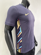 Camiseta Inglaterra, Visitante 24-25