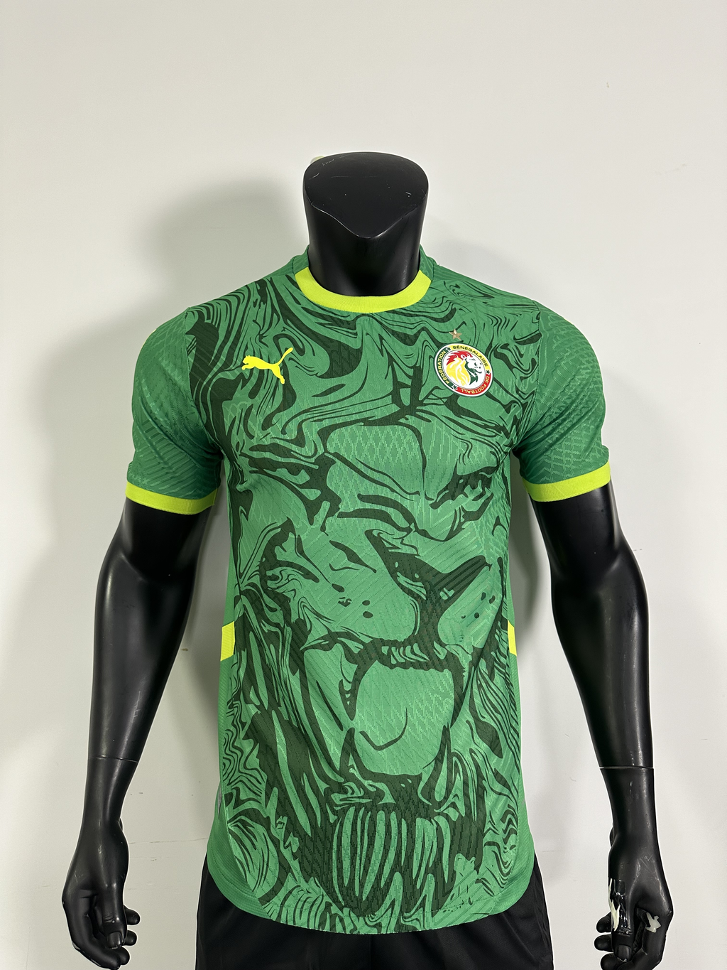 Camiseta Senegal, Local 24-25