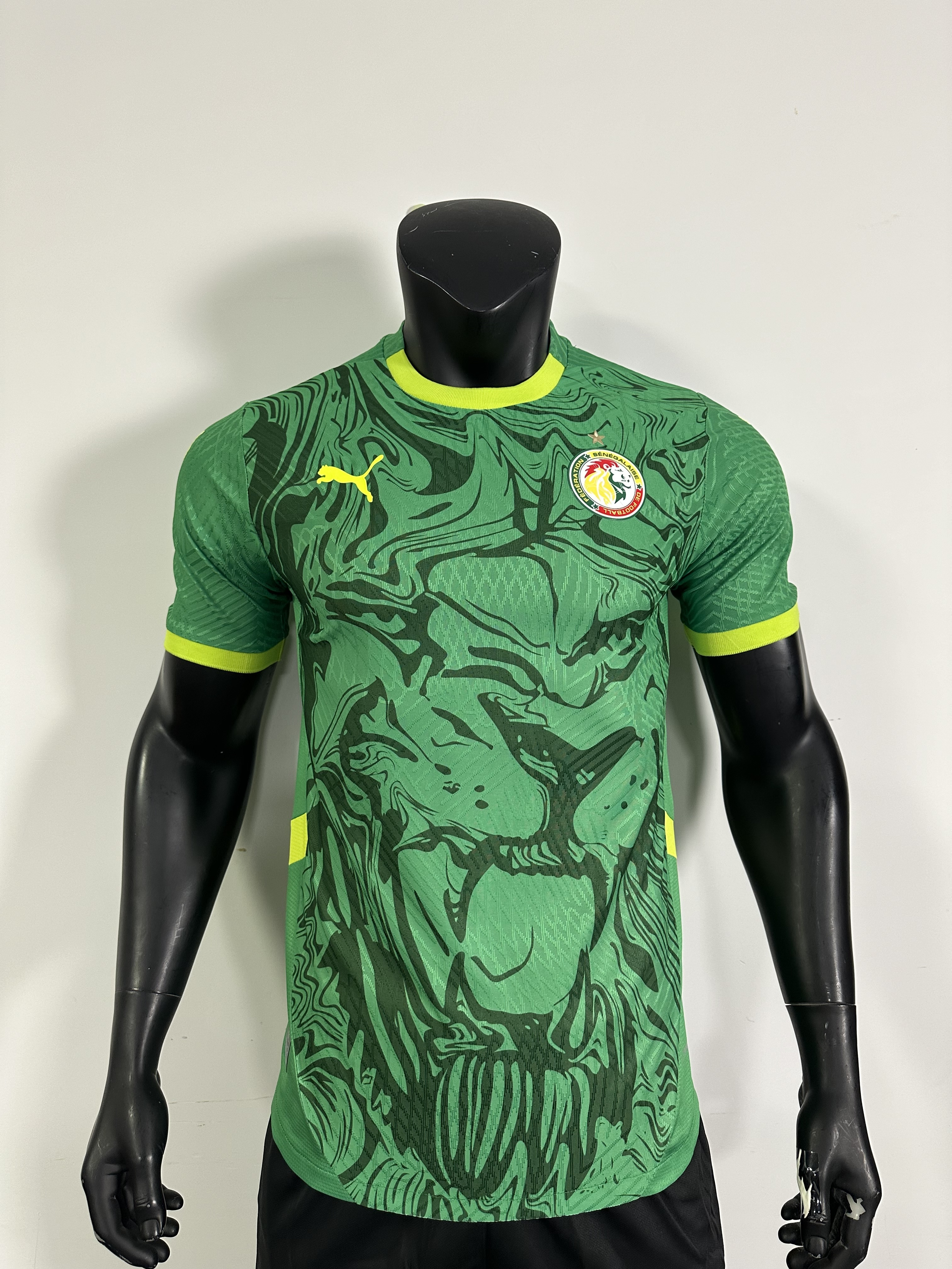 Camiseta Senegal, Local 24-25