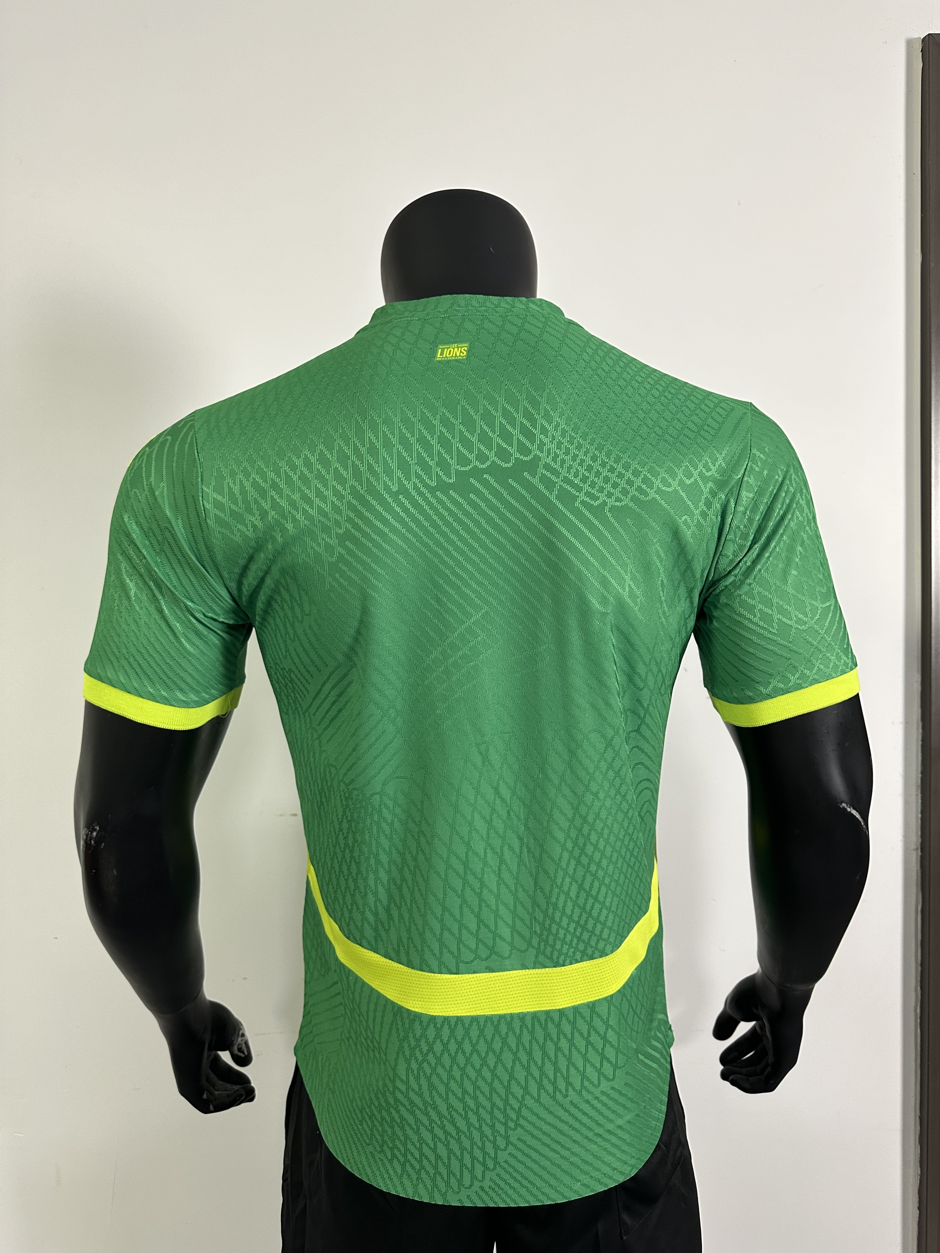 Camiseta Senegal, Local 24-25