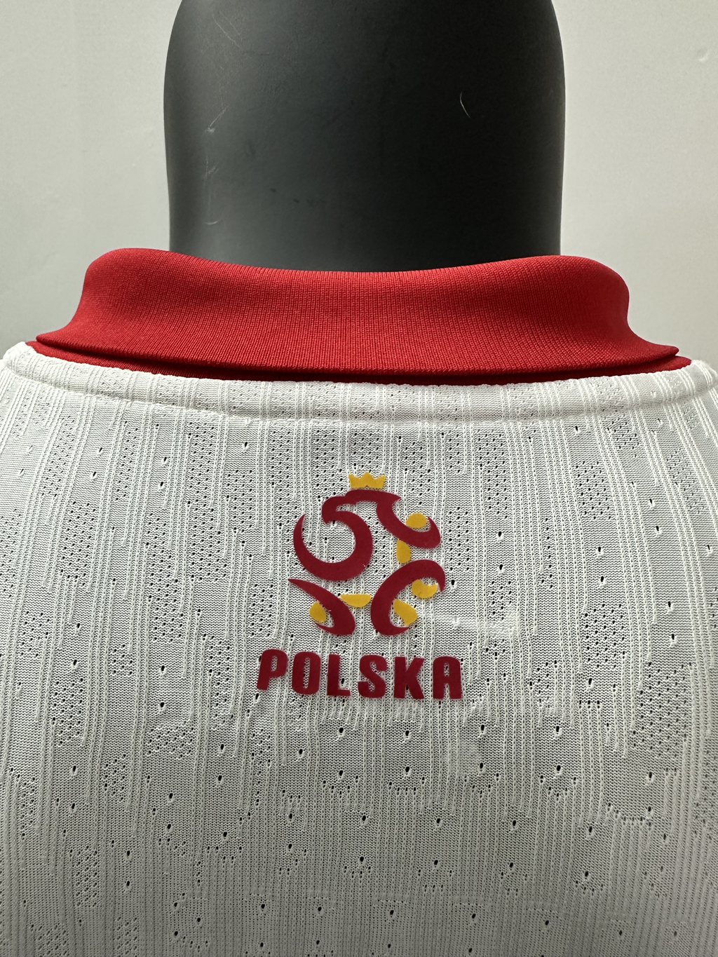Camiseta Polonia, Local 24-25