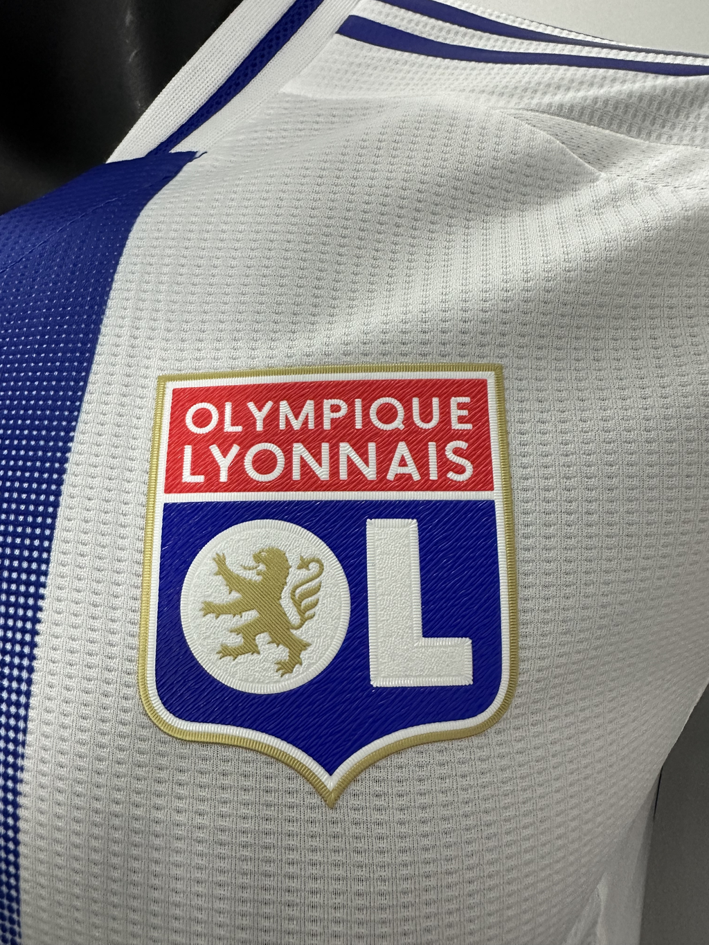 Camiseta Olympique de Lyon, Local 24-25