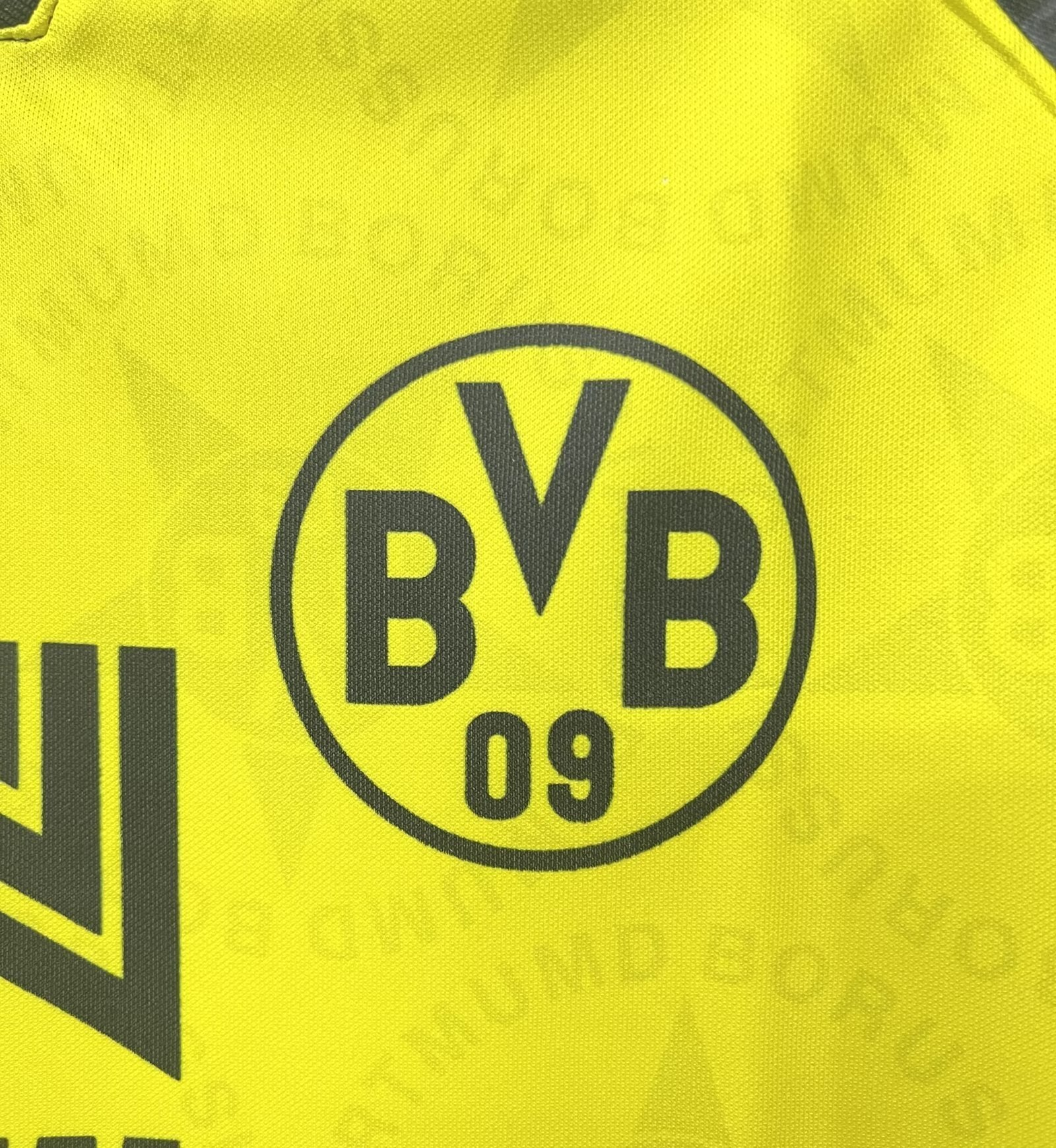 Camiseta Borussia Dortmund, Local 94-95