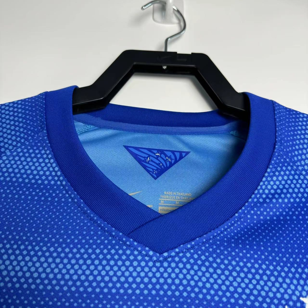 Camiseta Brasil, Visitante 13-14
