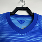 Camiseta Brasil, Visitante 13-14