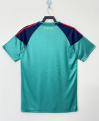 Camiseta España, Portero 2010