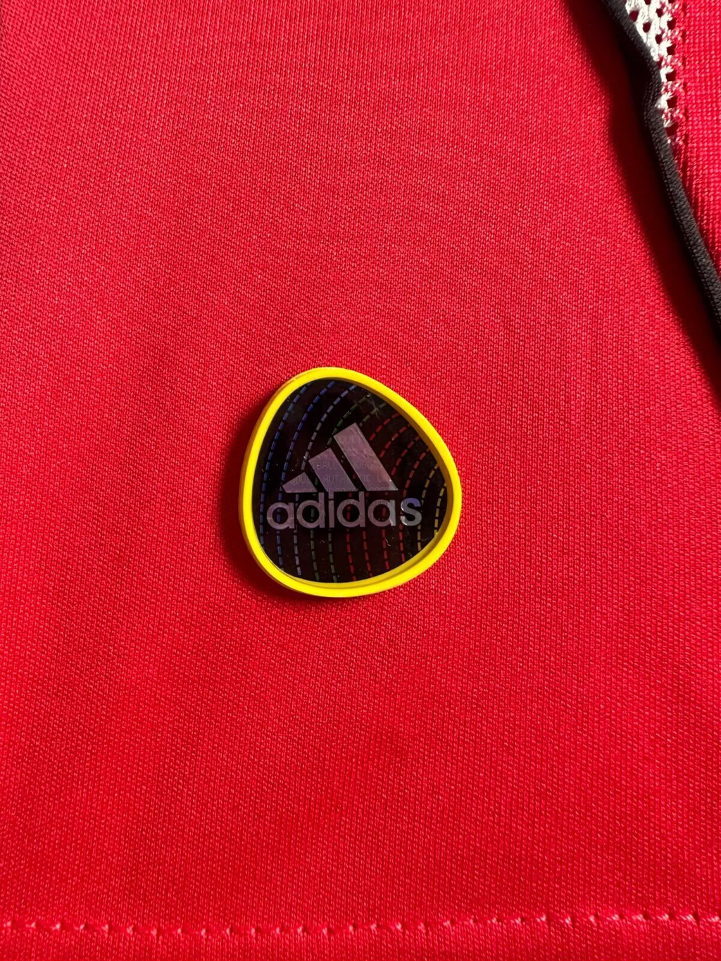 Camiseta Bayern Múnich, Local 10-11