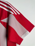 Camiseta Bayern Múnich, Local 10-11