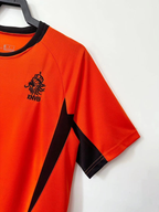 Camiseta Países Bajos, Local 2002