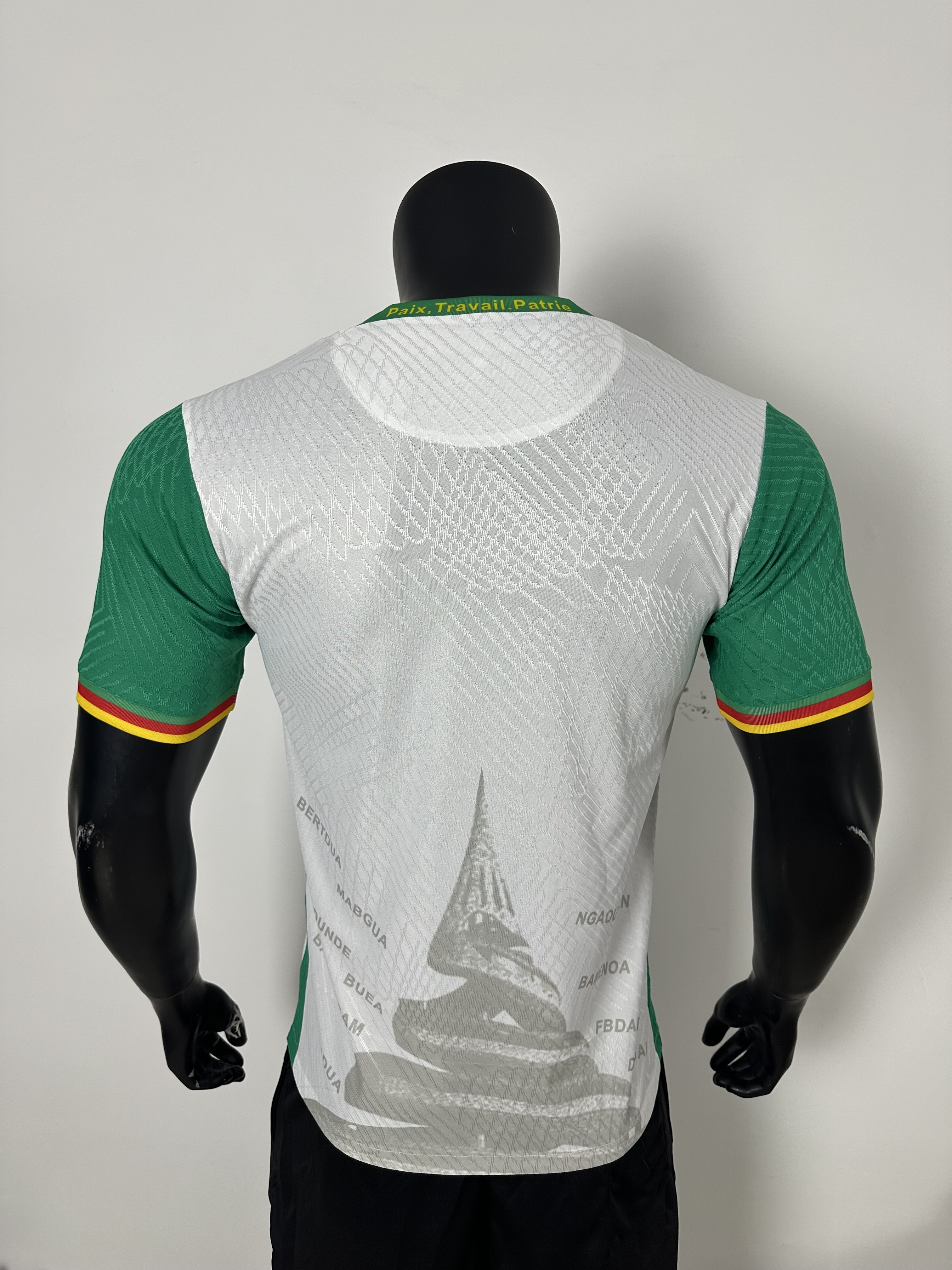 Camiseta Camerún, Tercera 2025