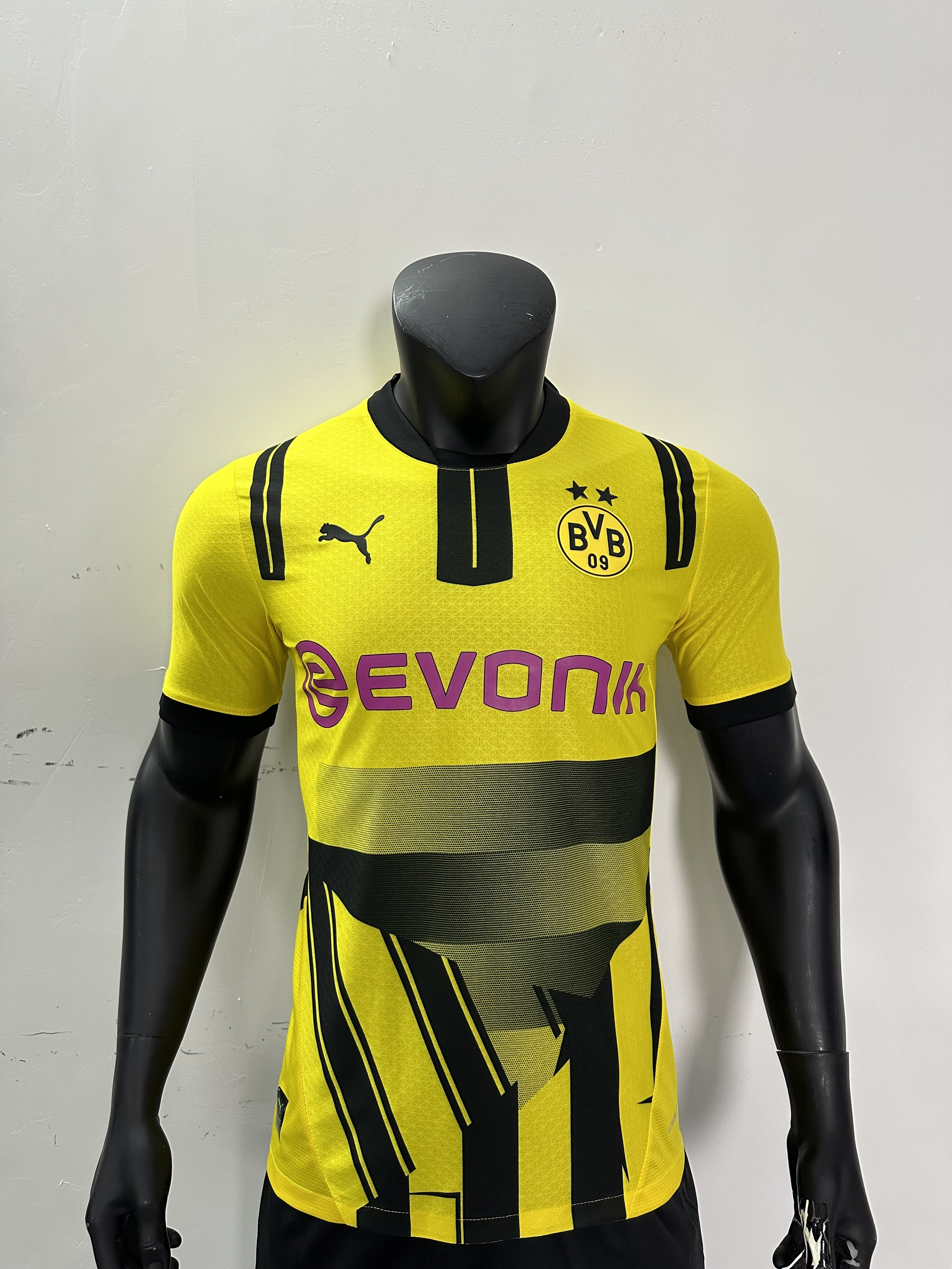 Camiseta Borussia Dortmund, Local Cup 24-25
