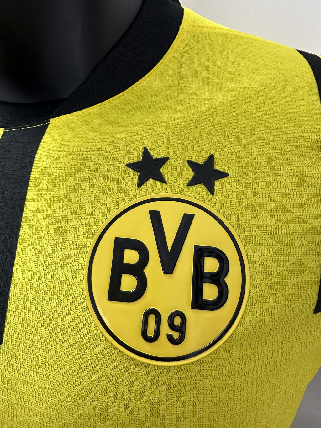 Camiseta Borussia Dortmund, Local Cup 24-25