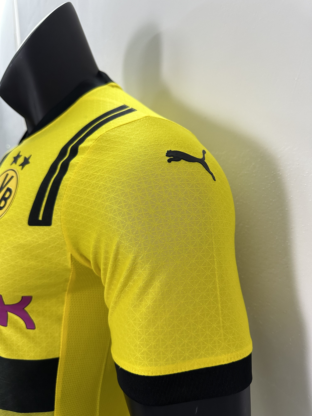 Camiseta Borussia Dortmund, Local Cup 24-25