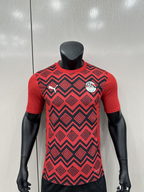 Camiseta Egipto, Pre Partido 24-25