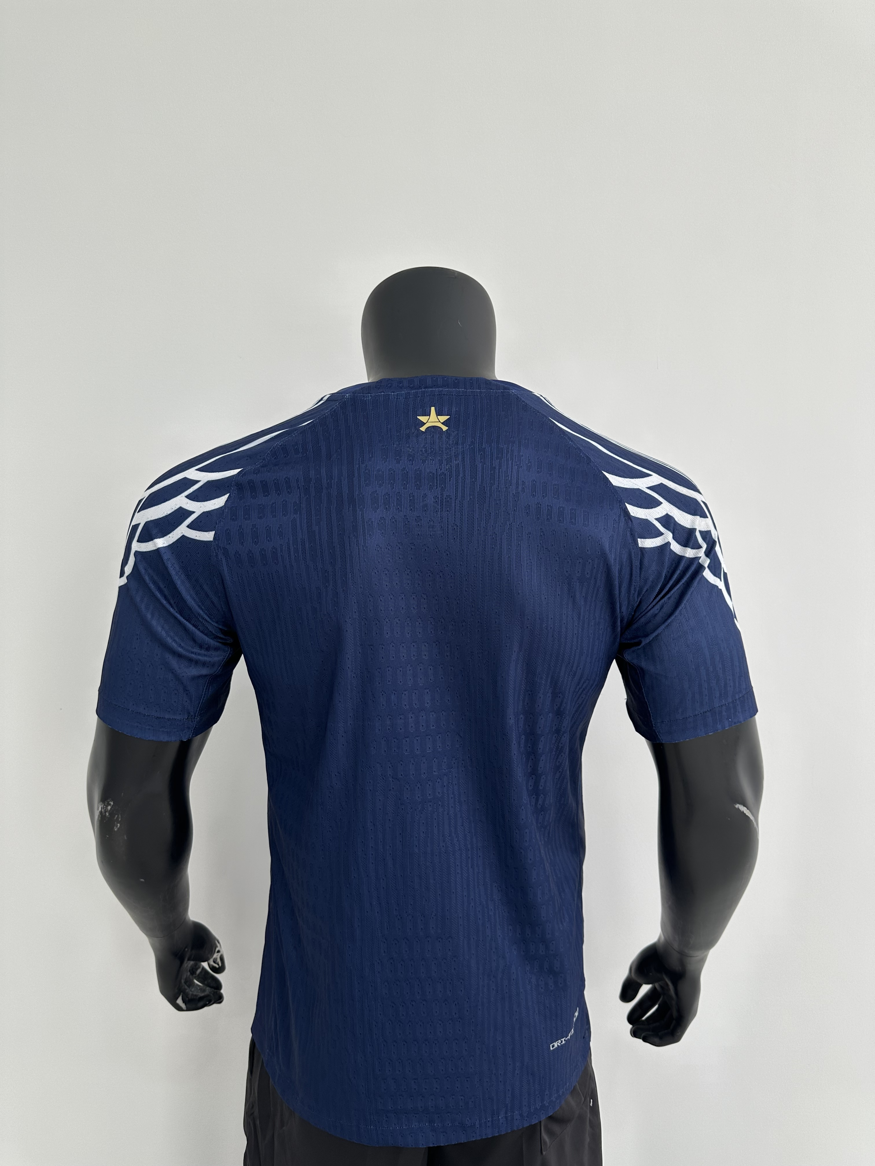 Camiseta PSG, Jordan Brand 24-25