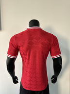 Camiseta Manchester United, Polo 24-25